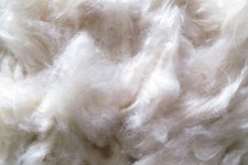 Hamsternest, Nestmaterial aus