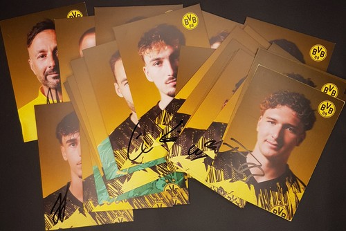 Borussia dortmund u23 - ii,