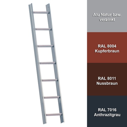 Layher 1051 dachleiter - layher,