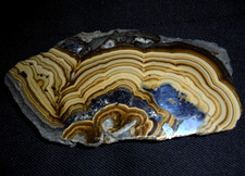 Schalenblende; Sphalerit, Galenit, Olkusz Mine, Gmina Olkusz, Polen