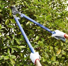 Amazon Basics - Bypass Lopper