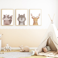 Waldtiere Waschbär Wolf Reh