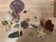 Riesige Kristall Und Mineral Sammlung, Fossilien, Bernstein, Schmuck