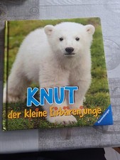 Knut der kleine Eisbärenjunge