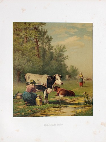 Richard burnier weide holland - richard,