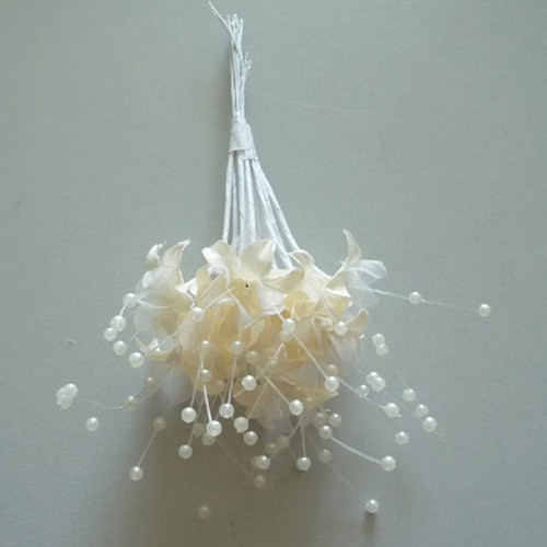 144x satinröschen creme - 12-144x,