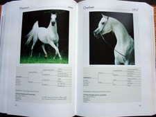 Asil Araber V (2000) * Araber