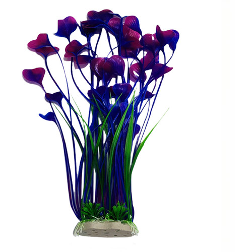 Wasser lotus und spiralkelp - pe,