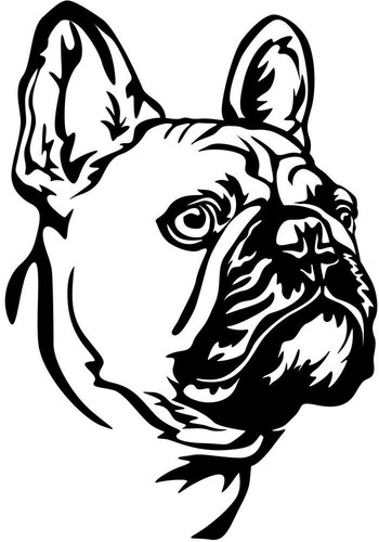 Französische bulldogge - franzÖsische,