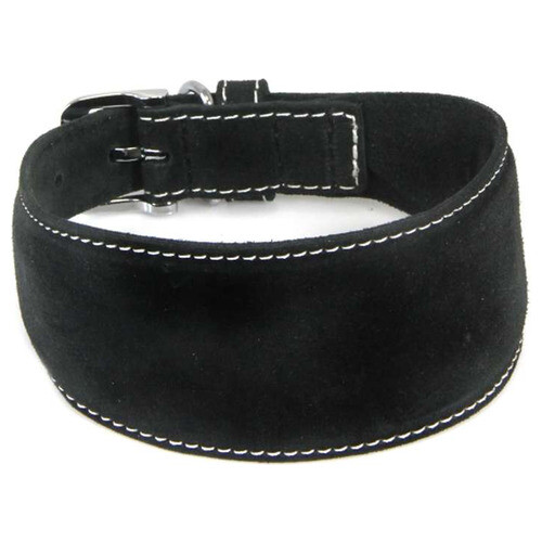 Das lederband windhundhalsband - das,