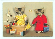 Katzen beim einkaufen - 1,