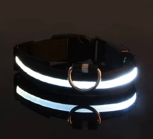 Hundehalsband leuchthalsband - hundehalsband,