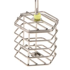 Haustier Vogel Nahrungssuche