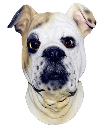 Bulldog maske hund - maske, latex