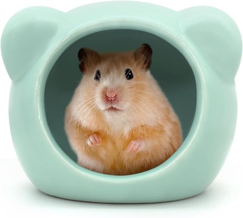 Andiker hamsterhaus aus - hamsterhaus,