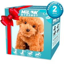 Interaktiver Elektronisch