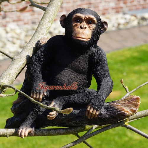 Schimpanse affe auf - ast, figur