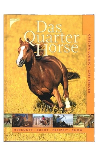 Das quarter horse - quarter,
