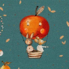 French Terry Waldtiere, Heißluftballon, petrol