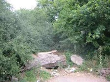 Foto 6x4 Kein Zutritt auf diesem Weg St. Stephens\/TL1306 Der Baumstamm blockiert was um 2005