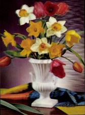 3-D Ak Narzissen und Tulpen in der Blumenvase - 4452792