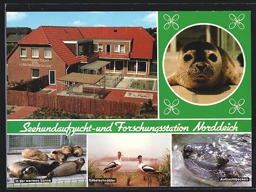 Ansichtskarte norddeich - norddeich, /