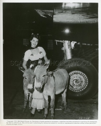 Margaret sheridan 1952 - sheridan, vintage