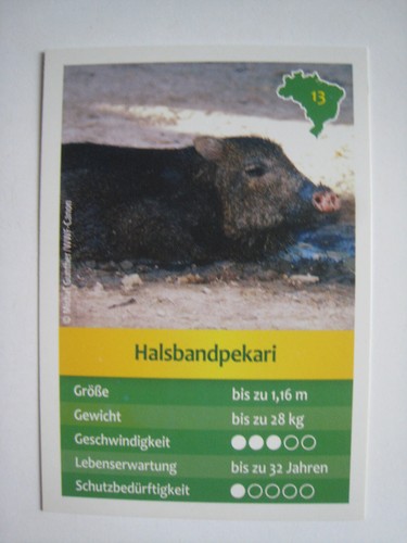 Entdecke brasilien - entdecke,