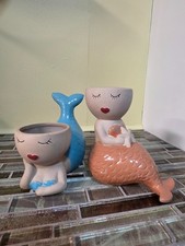 Mermaid Succulent Air Plant