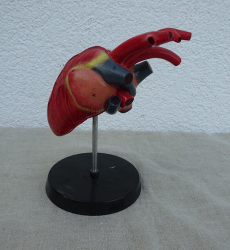 Modell lehrmodell ddr - modell,