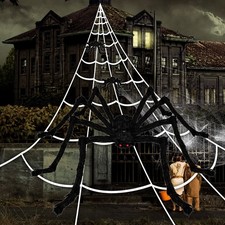 Spinnennetz 7M Karneval