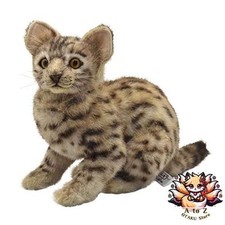 NEU Hansa Bengal Katze