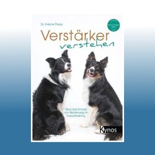 Verstärker verstehen | Dr