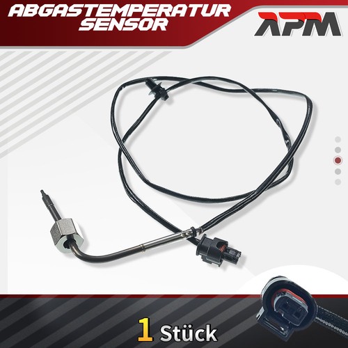 Abgastemperatursensor für