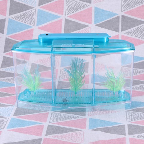Aufzuchtkasten aquarium - aufzuchtkasten,
