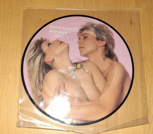 Samantha fox und david cassidy - fox,
