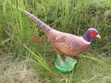 FASAN HÜHNERVÖGEL JAGD