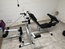 Gorilla sports - gorilla,
