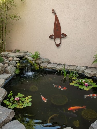 Koi edelrost tancho 100cm - koi,