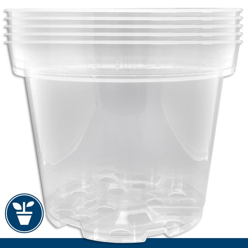 Orchideentopf transparent - x,