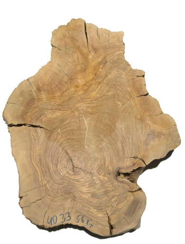 Oliven wurzelholz holz - oliven,