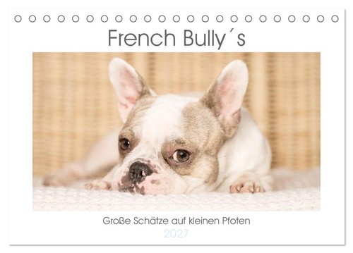 French bully große - -,