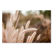 Postereck 1354 Poster Leinwand