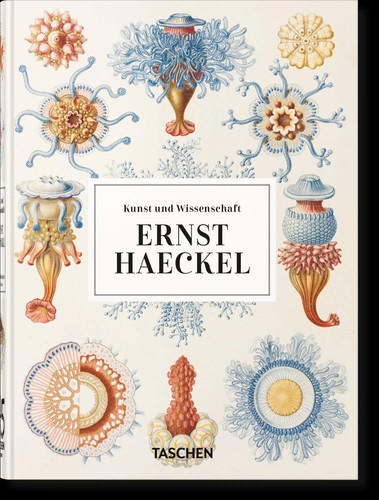 Ernst haeckel kunst und - haeckel,