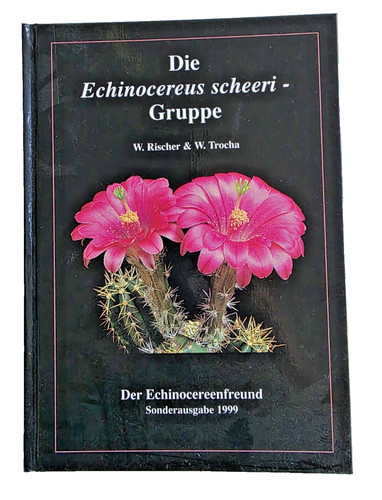 Die echinocereus scheeri - echinocereus,