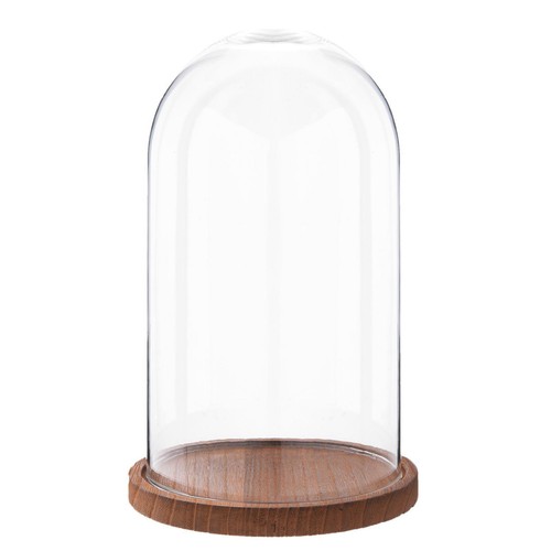 Glasaufsteller cloche glocke - glasaufsteller,