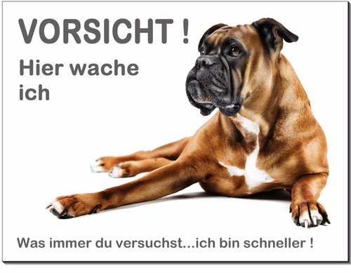 Boxer-Hund-Aluminium-Schild--3