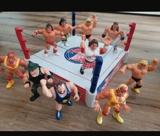 Wrestling Arena #24hJK