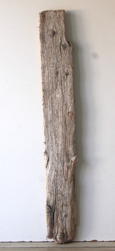 Treibholz schwemmholz - treibholz,