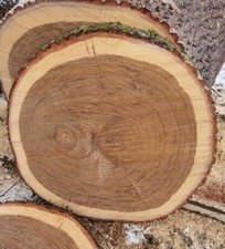 Baumscheibe eiche 80cm - eiche, 75-80cm